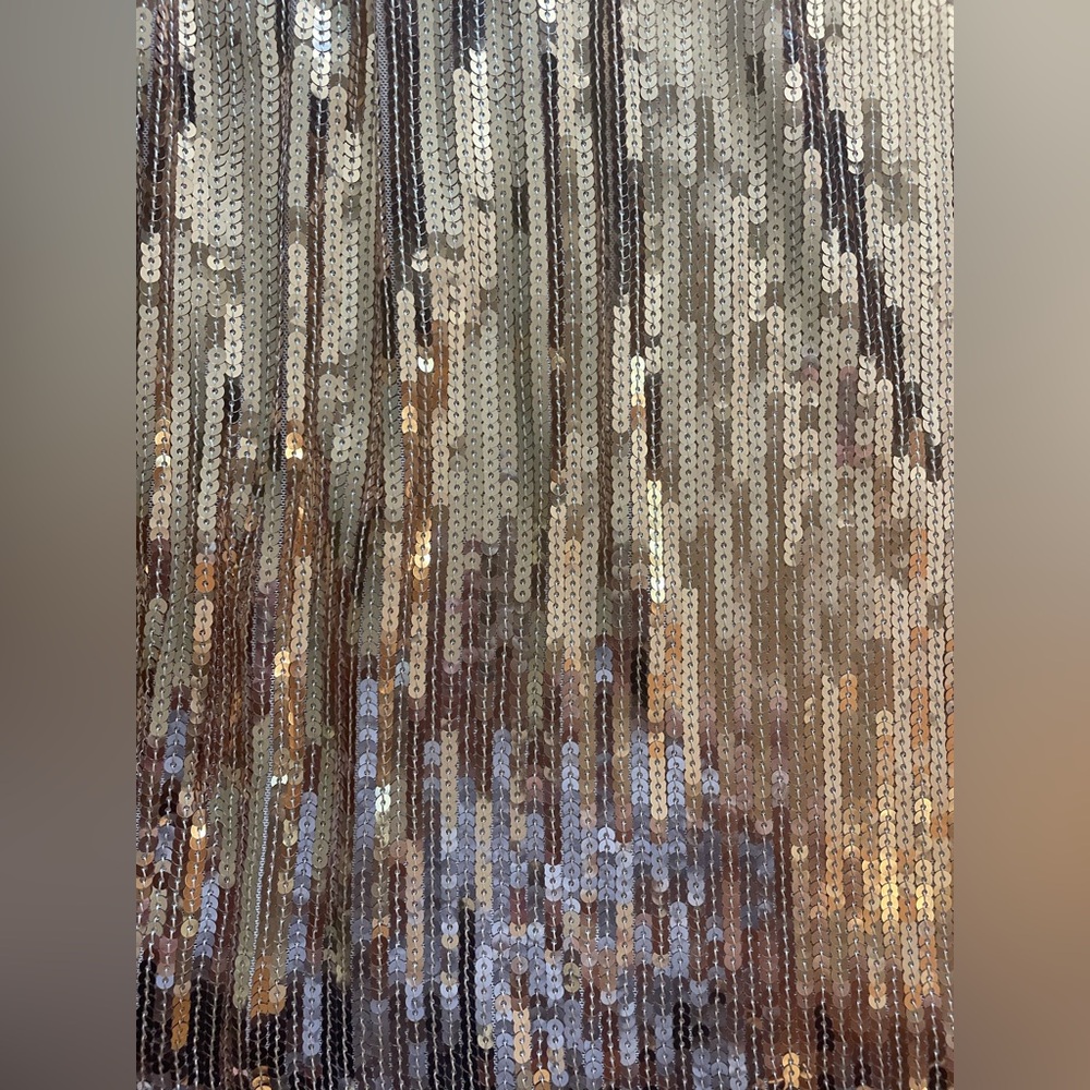 Sequin Fringe Skirt in Rosegold - Picture 2 of 4